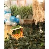 Havuç Canavarı Konsepti - Erkek Çocuğu Baby Shower - Diş Buğdayı Partisi