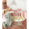 Pembiş Konsepti - Kız Çocuğu Baby Shower - Diş Buğdayı Partisi