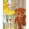 Happy Moon Konsepti - Baby Shower - Diş Buğdayı Partisi