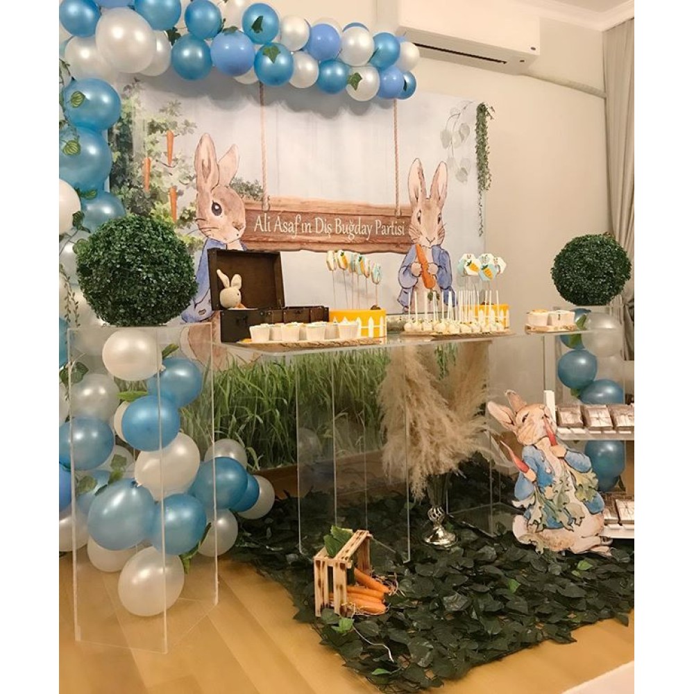 Havuç Canavarı Konsepti - Erkek Çocuğu Baby Shower - Diş Buğdayı Partisi