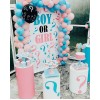 Boy or Girl Erkek mi Kız mı Cinsiyet Parti Konsepti