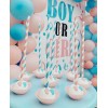 Boy or Girl Erkek mi Kız mı Cinsiyet Parti Konsepti