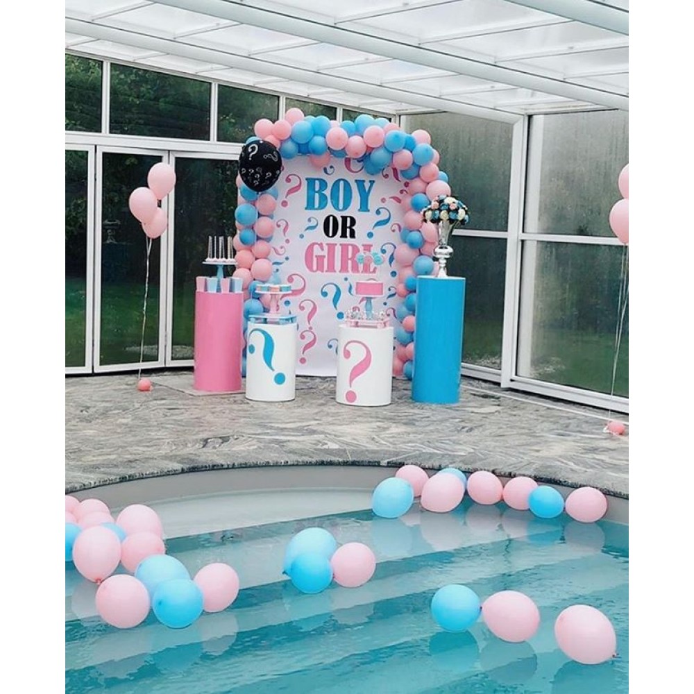 Boy or Girl Erkek mi Kız mı Cinsiyet Parti Konsepti